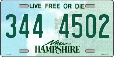 NH license plate 3444502