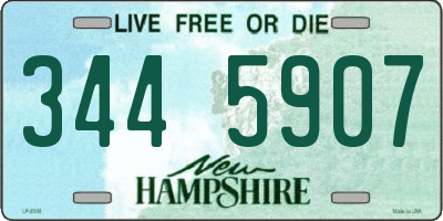 NH license plate 3445907