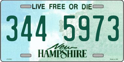 NH license plate 3445973
