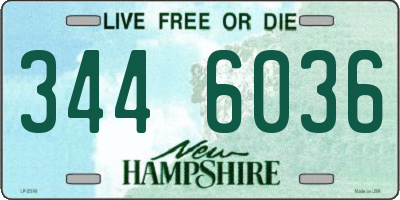 NH license plate 3446036