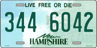 NH license plate 3446042