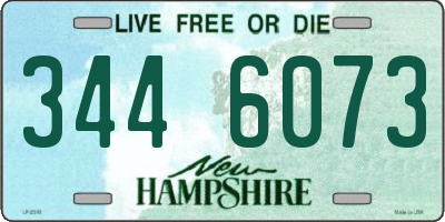 NH license plate 3446073