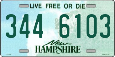 NH license plate 3446103