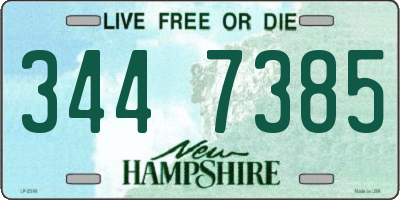 NH license plate 3447385