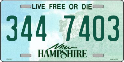 NH license plate 3447403