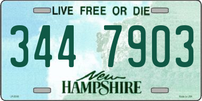 NH license plate 3447903
