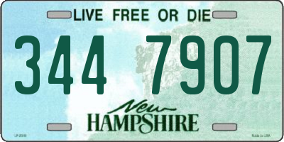 NH license plate 3447907