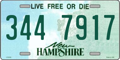 NH license plate 3447917