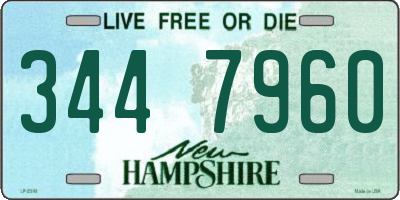 NH license plate 3447960
