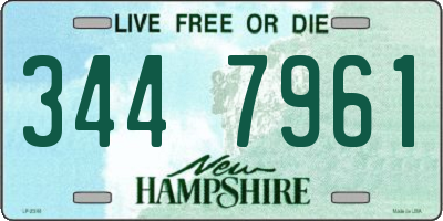 NH license plate 3447961