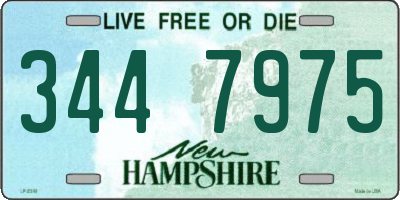 NH license plate 3447975