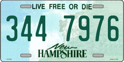NH license plate 3447976