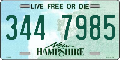 NH license plate 3447985