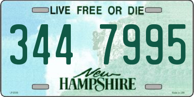 NH license plate 3447995