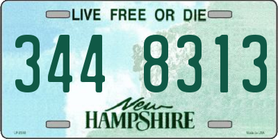 NH license plate 3448313