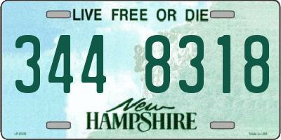 NH license plate 3448318