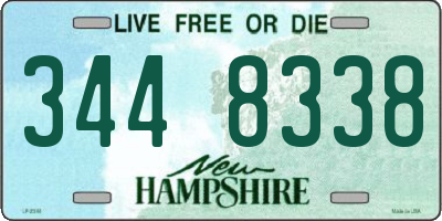 NH license plate 3448338