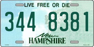 NH license plate 3448381