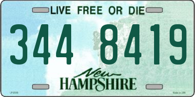 NH license plate 3448419