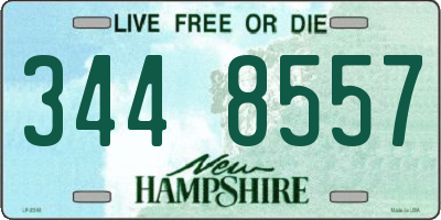 NH license plate 3448557