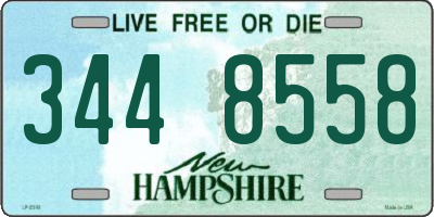 NH license plate 3448558