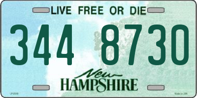 NH license plate 3448730
