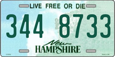 NH license plate 3448733