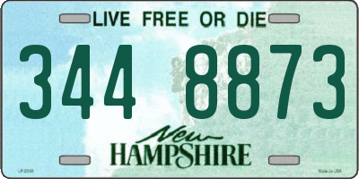 NH license plate 3448873