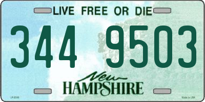 NH license plate 3449503