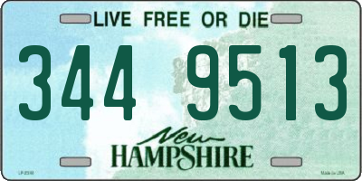 NH license plate 3449513