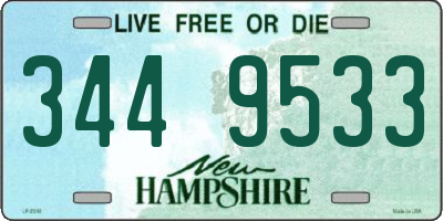 NH license plate 3449533