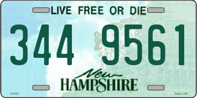 NH license plate 3449561