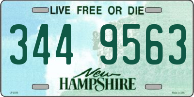 NH license plate 3449563