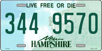 NH license plate 3449570