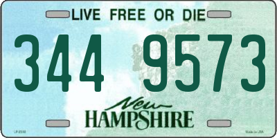NH license plate 3449573
