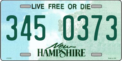 NH license plate 3450373
