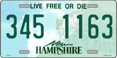 NH license plate 3451163