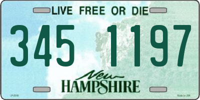 NH license plate 3451197