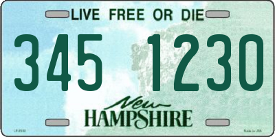 NH license plate 3451230