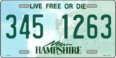 NH license plate 3451263