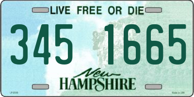 NH license plate 3451665
