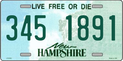 NH license plate 3451891