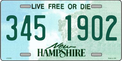 NH license plate 3451902
