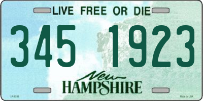 NH license plate 3451923