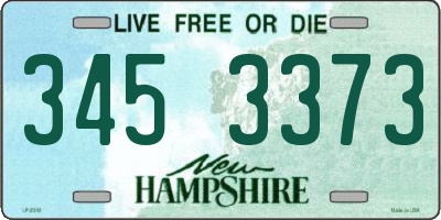 NH license plate 3453373