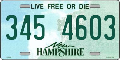 NH license plate 3454603
