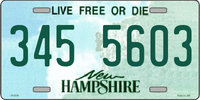 NH license plate 3455603