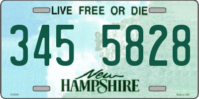 NH license plate 3455828
