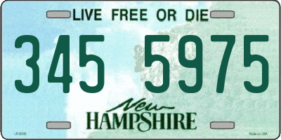 NH license plate 3455975