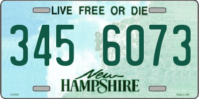 NH license plate 3456073